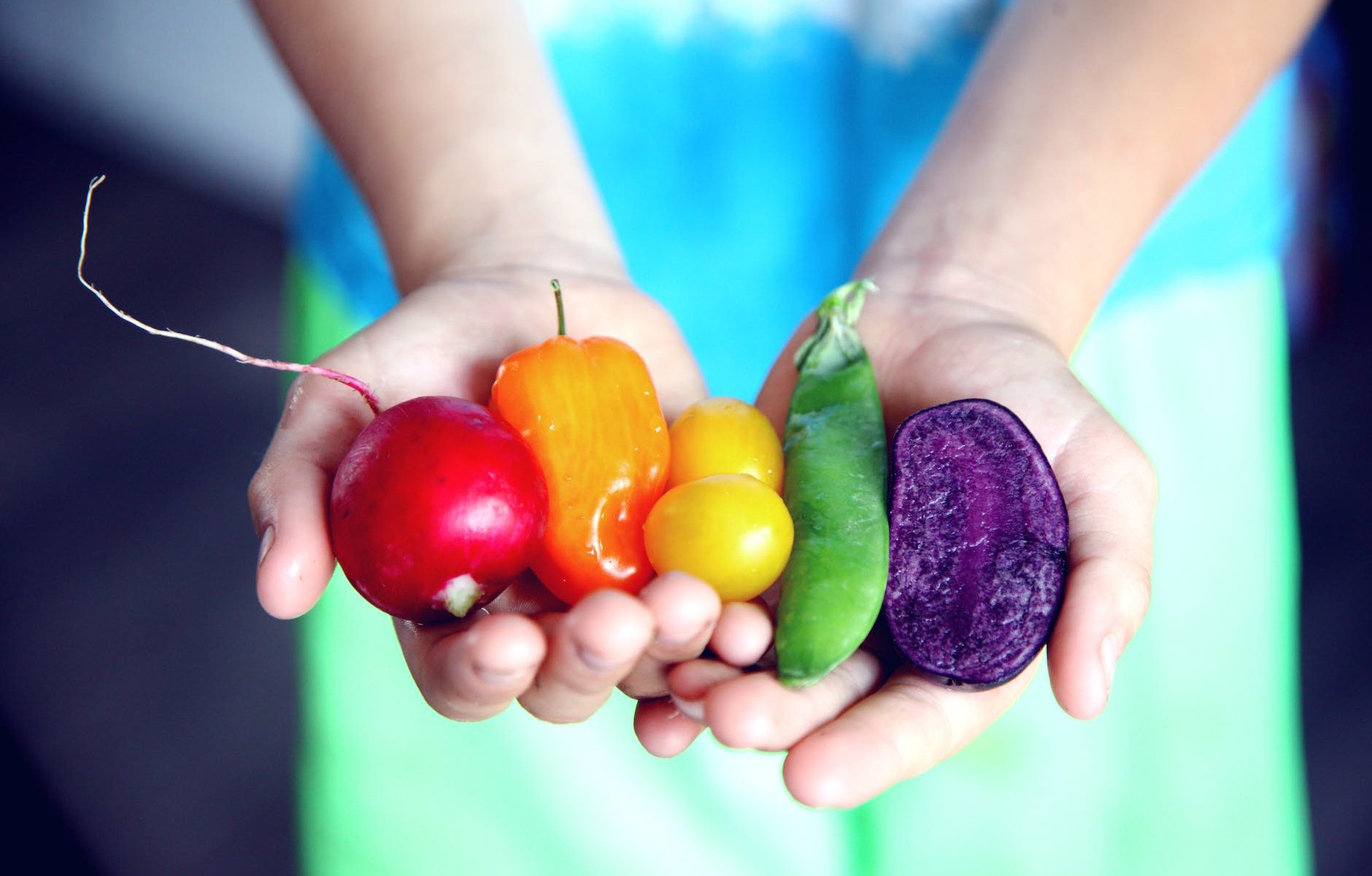 five assorted vegetables