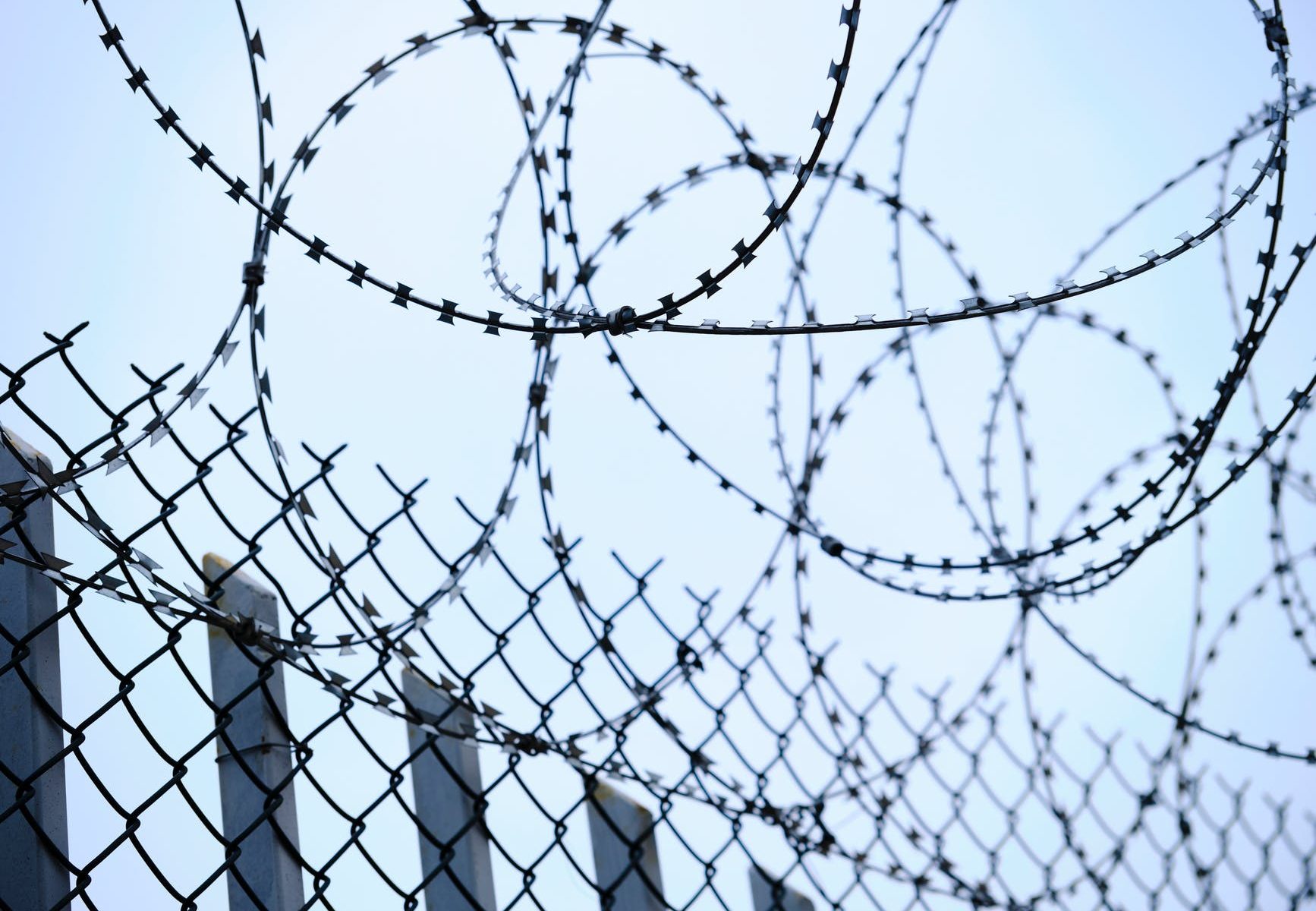 chain link fence and barbed wires