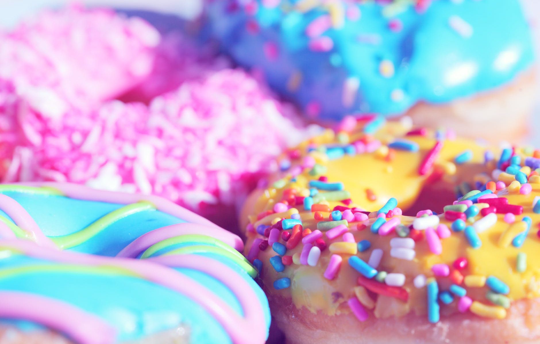 closeup photo of doughnuts