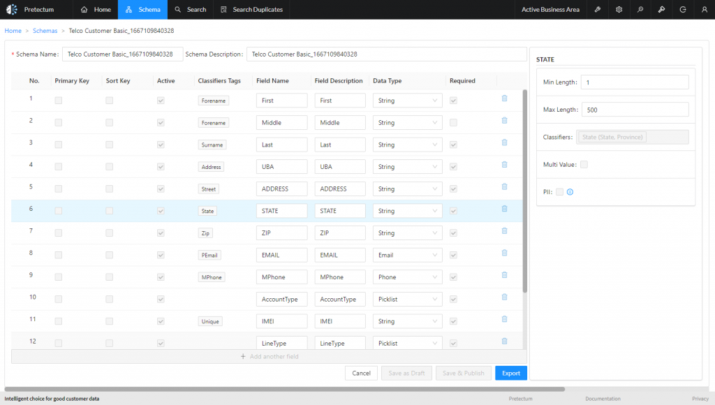 A screenshot of schema definition within the Pretectum CMDM that shows how data tagging with metadata can provide an alternative and unifying view of record definition