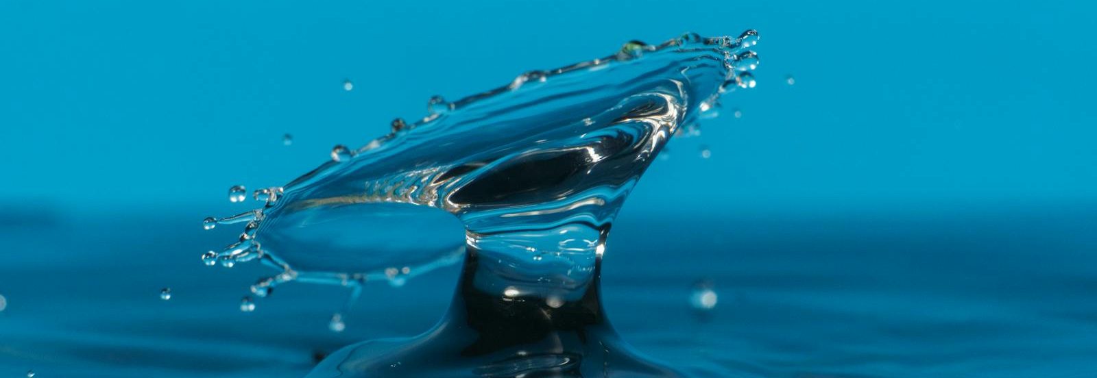 Captivating water splash captured mid-air against a vibrant blue background. Perfect for abstract and creative concepts.